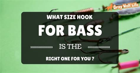 What Size Hook For Bass Is The Right One For You Find Out Now