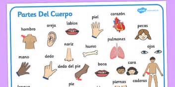 Partes Del Cuerpo Word Mat Spanish Teacher Made