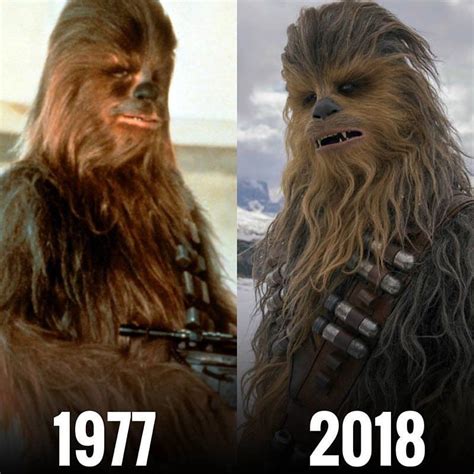 Remember Chewbacca This Is Him Now Feel Old Yet Chewbacca Costume