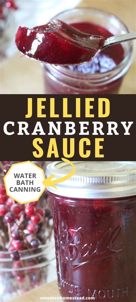 Homemade Jellied Cranberry Sauce Canning Optional Recipe Jellied