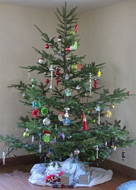 Check spelling or type a new query. Our Free Range, Organic Christmas Tree | Downeast Thunder Farm