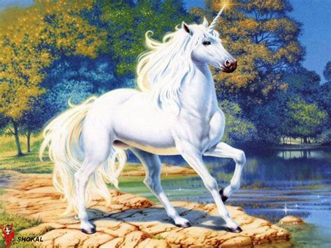 Fantasy Unicorn At Edge Of River Image Abyss