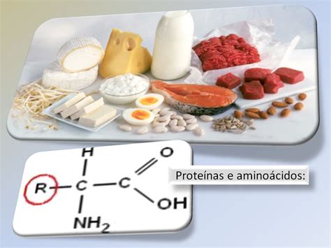 Todos Os Aminoácidos Essenciais Podem Ser Encontrados Em Proteínas Vegetais