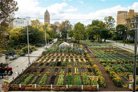 Americas First Sustainable Urban Agrihood Is Growing In Detroit