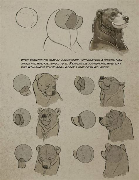 Art Tutorials For All — Anatoref Bear By Aaron Blaise Illustration Art