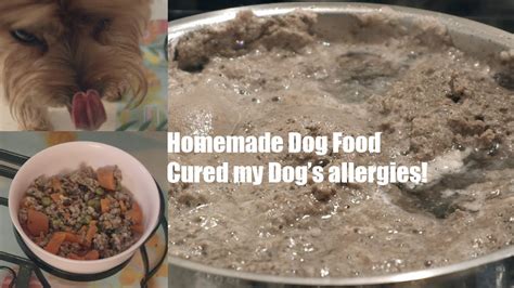If your dog has a sensitive stomach, buzzle offers some simple recipes, including liver and veal, and recommends the use of ginger and yogurt to help soothe. Homemade Dog Food Recipe! Cured my Dog's allergies - YouTube