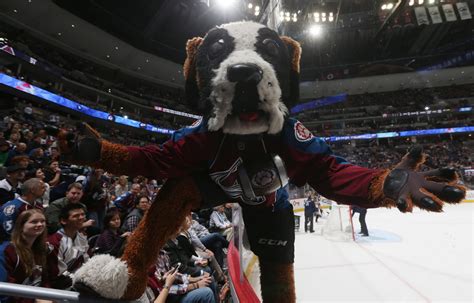 Colorado Avalanche 10 Reasons To Attend Games Mascot Bernie