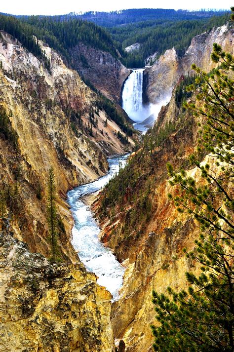 Yellowstone Falls Pentax User Photo Gallery