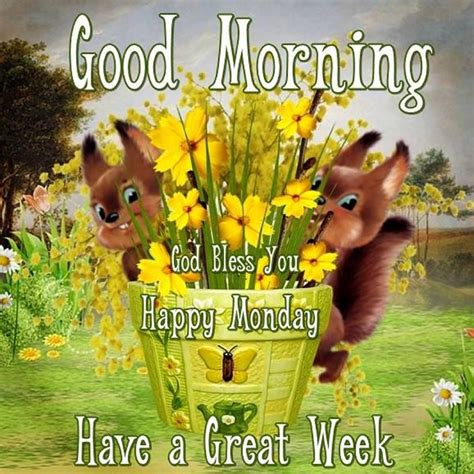 Good Morning Happy Monday Blessed Week Pictures Photos And Images For