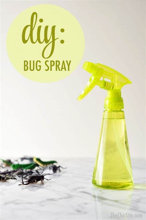 12 Best Natural Bug Sprays