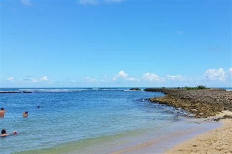 Kuilima Cove Snorkeling 🐠 Turtle Bay Resort Beach With Beginner