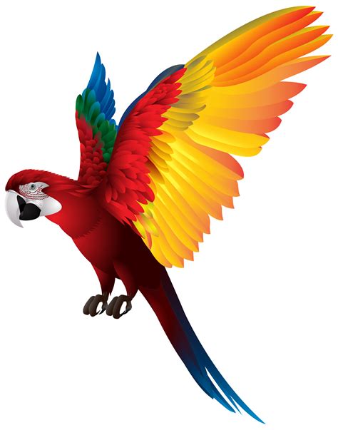 Parrot Clipart Picsart Png Parrot Picsart Png Transparent Free For