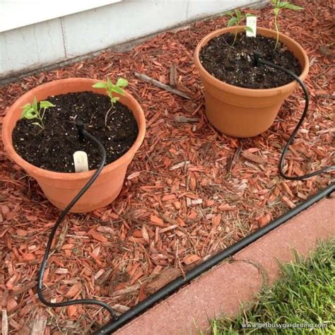 How To Build Diy Drip Irrigation System For Potted Plants