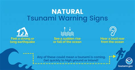 Natural Tsunami Warning Signs Tsunami Tsunami Warning Infographic