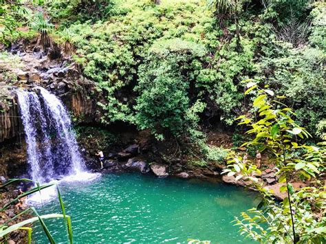 Road To Hana Stop Twin Falls Maui Waterfall Tour Review 2023