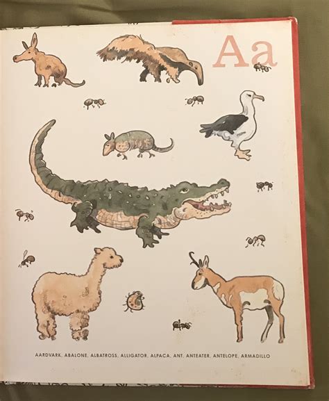 List Of Species In 8 An Animal Alphabet The Parody Wiki
