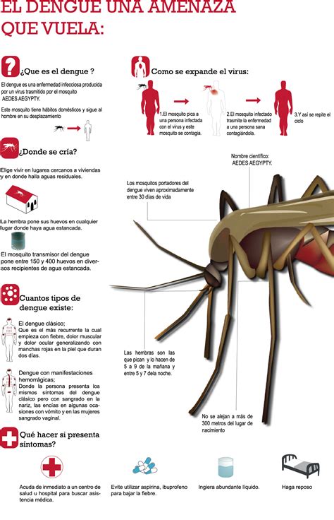 Flujograma De Dengue Dengue De Riesgo Y Manejo Del Paciente Sospecha