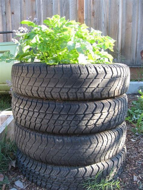 Plants that don't like each other may be responding to different environmental needs. 10 Ways to Grow Potatoes | Potato Planting Ideas | Balcony ...