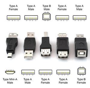 You can tell usb cables apart by the connector on either end. USB - Dictionnaire informatique - SOSPC20