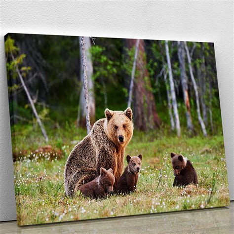 Brown Mother Bear Protecting Her Cubs Canvas Print Or Poster Canvas
