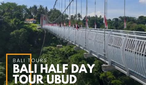 bali half day glass bridge and butterfly park tour ticget id
