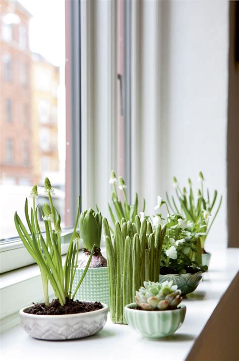 12 Creative Indoor Garden Ideas For Your Home Decor