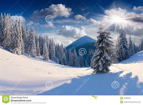 Beautiful Winter Landscape Stock Photo Image Of Season Illumination