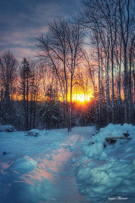 These Winter Beauty Shots Will Make You Forget The Cold Cbc News