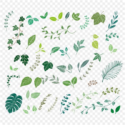 Hand Drawn Leaves Vector Hd Png Images Spring Cartoon Hand Drawn Green