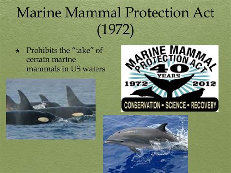 PPT - Environmental Legislation Laws PowerPoint Presentation, free