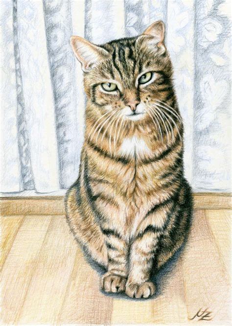 Drawing By Nicole Zeug Arts And Catsde Realistic Animal