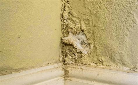 Which Wallpaper Is Best For Damp Walls