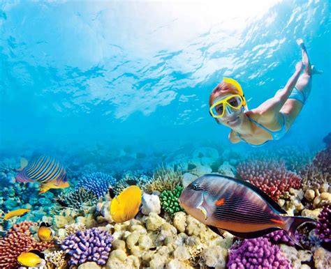 Snorkeling In Cancun Where To Go And Explore The Ocean Riviera Maya