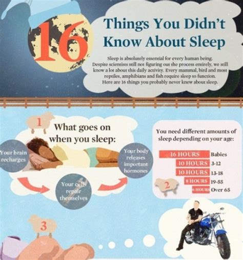 17 Best Images About Sleep Infographics On Pinterest Sleep