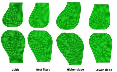 Joint Morphogenesis Obtained After 10 Steps Of Growth Using A Different
