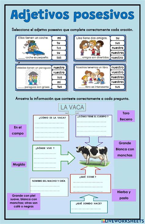 Worksheets Interactive Notebooks Note Cards Prayers Literacy