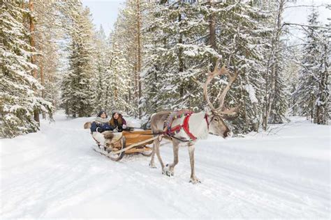 Rovaniemi Reindeer Huskies And Santa Claus Village Getyourguide
