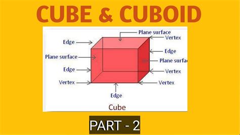 Cube And Cuboid Surface Area Vertices And Its Volume Youtube