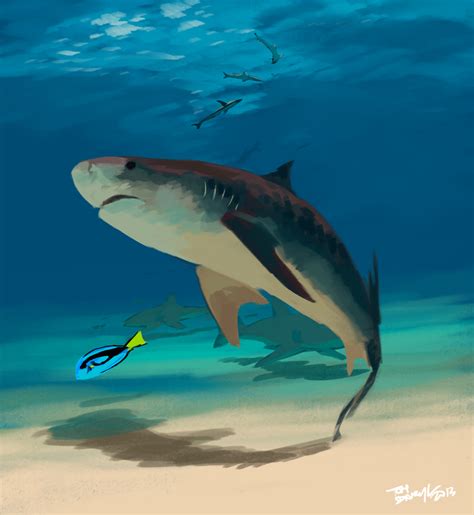 Tiger Shark By Tohdaryl On Deviantart