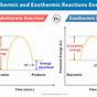 Endothermic Vs Exothermic Reactions Worksheet