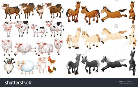 Illustraion Many Type Farm Animals Stock Vector 216686110