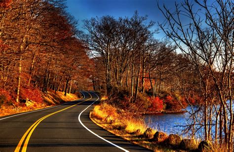 Leaves Trees Forest Road Autumn Nature River Water View Fall Leaves
