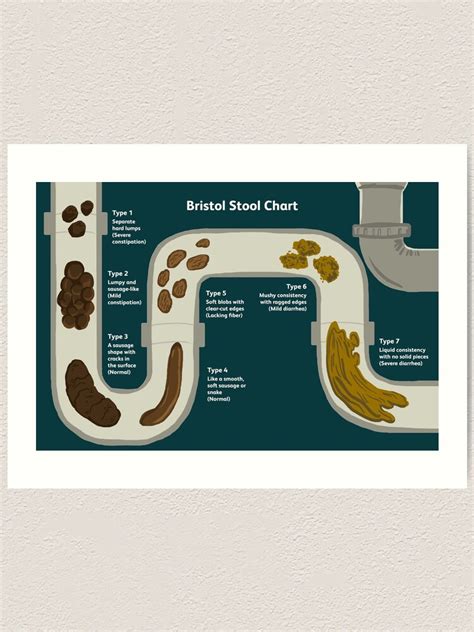 Bristol Stool Chart Checking If Your Poop Is Healthy 46 Off
