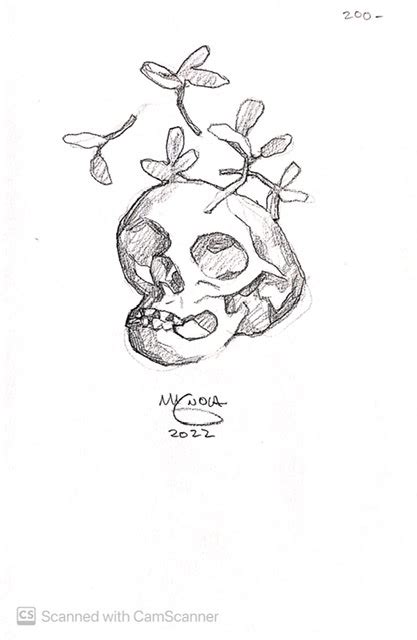 Skull Drawing By Mike Mignola 2022 In Steven Ngs Hellboy And Bprd By