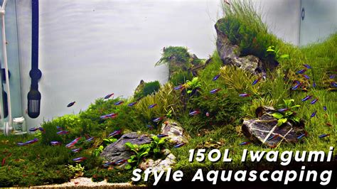Aquascape details tank size 40 x 28 x 24 cm (16 x 11 x 9.4 in) volume 26l (7 gallons) background none lighting pl55w * 2 filtration eheim 2213 additional information black earth premium + green base + ada nile sand plants hemianthus. Aquascape Ukuran 40 X 20 : Contoh Gambar Aquascape Dan ...