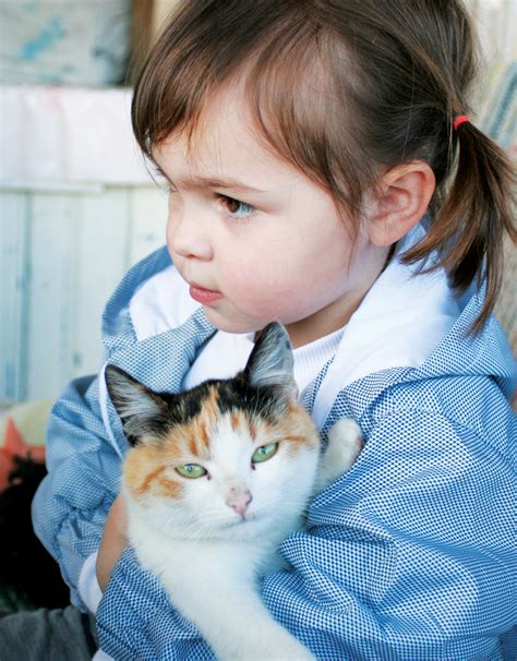 Free Images Person Girl Animal Kitten Child Blue Hug Nose