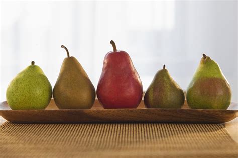 While there are many varieties of asian pears, the ones most commonly available in the u.s. A Guide to Varieties of Pears - From Anjou to Williams