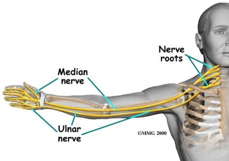 Here S How Ulnar Nerve Damage Settlements Are Determined Mccready Law