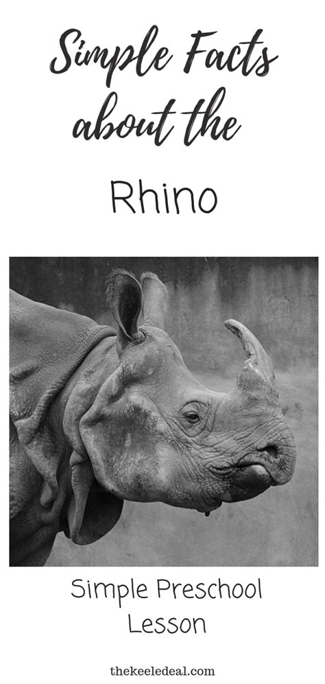 Last Week We Spent Some Time Learning About The Rhinoceros My Kids