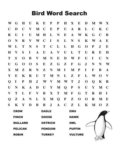 Bird Word Search Middle